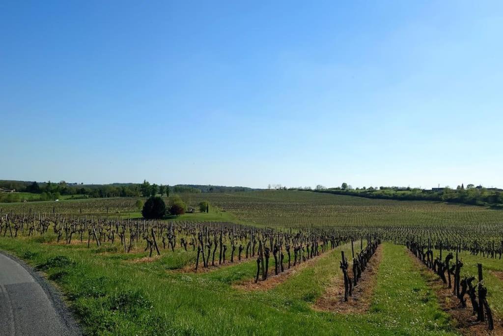 Entre Pierre Et Vigne - Charming Former Winery Farmhouse With Hot Tub & Swimming Pool Monestier  Luaran gambar