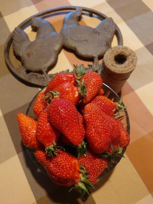 Entre Pierre Et Vigne - Charming Former Winery Farmhouse With Hot Tub & Swimming Pool Monestier  Luaran gambar